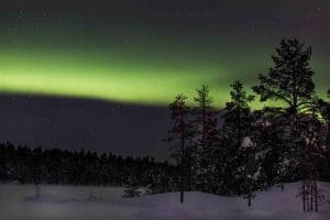 Northern lights and trees at night time