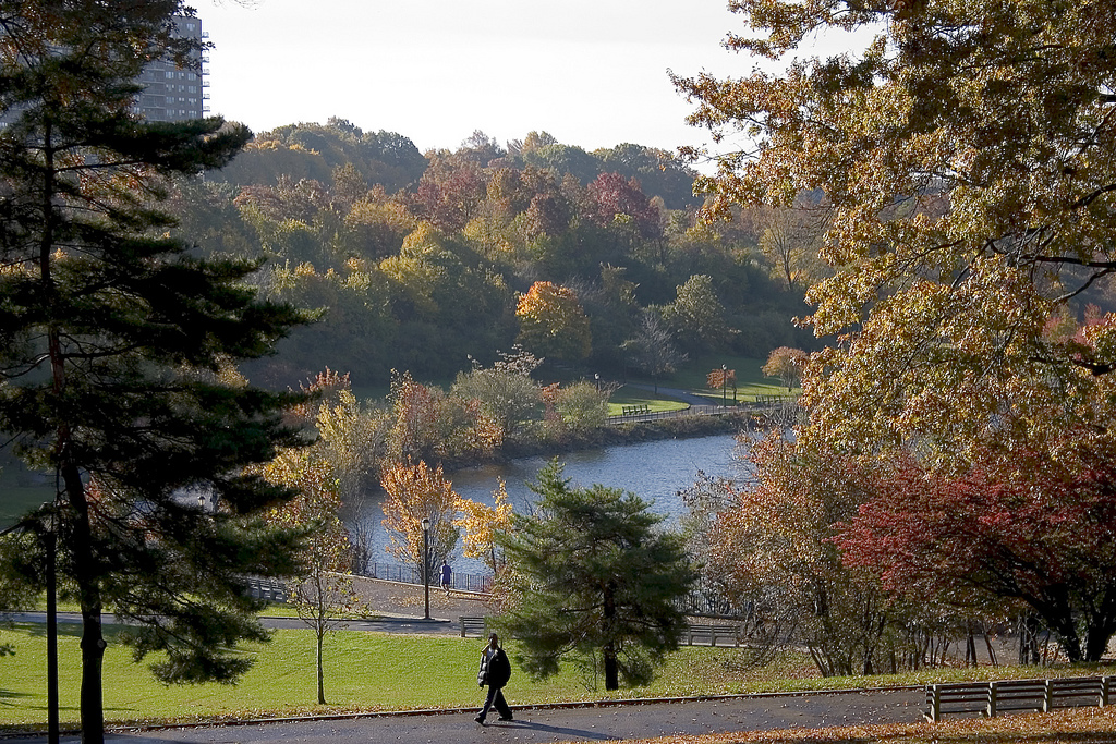 Top Parks to Visit in the New York City Boroughs! - Silver Lake Park 