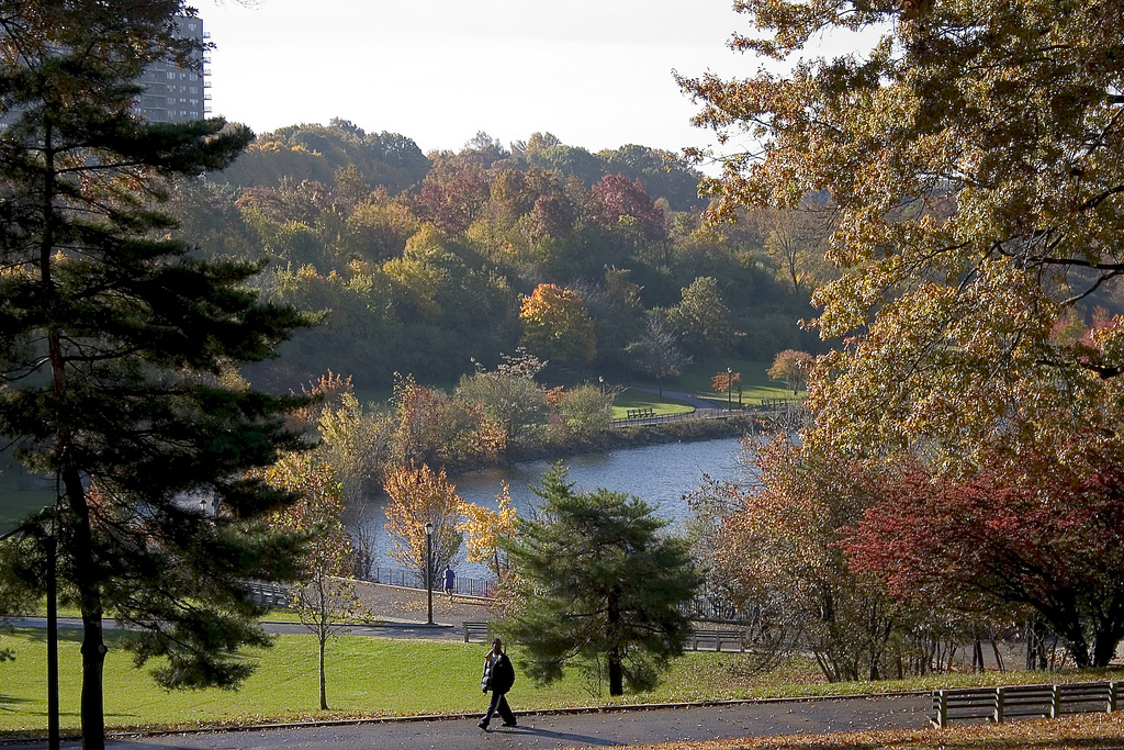 Top Parks to Visit in the New York City Boroughs! - Silver Lake Park