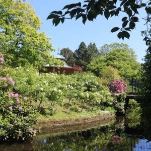 sefton park liverpool