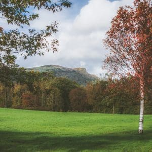 Belfast Parks