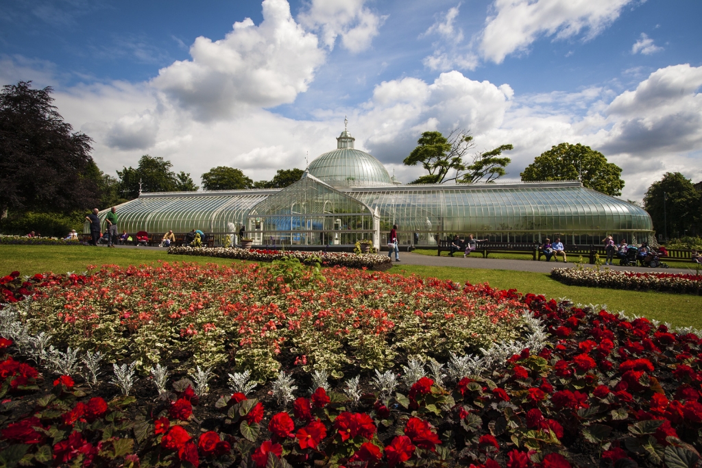 Glasgow Botanic Gardens filled with red roses,