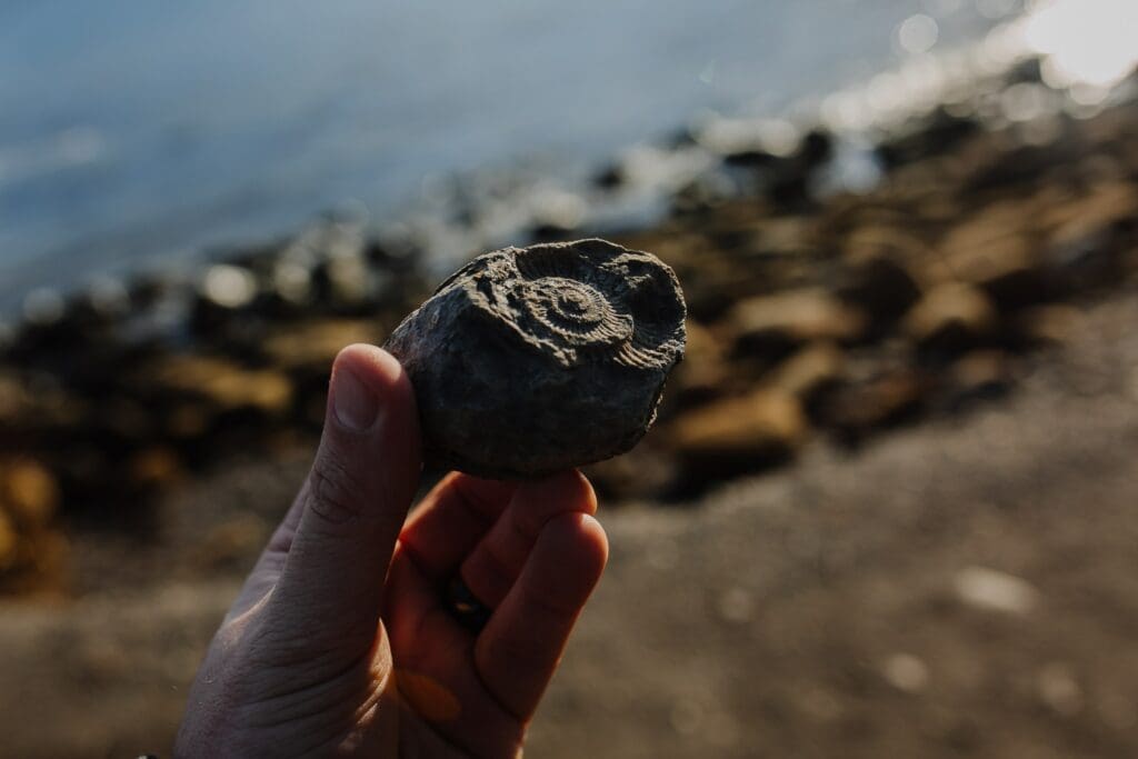 Fossils hunting in Lyme Regis.