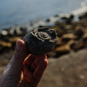 Fossil hunting in Lyme Regis