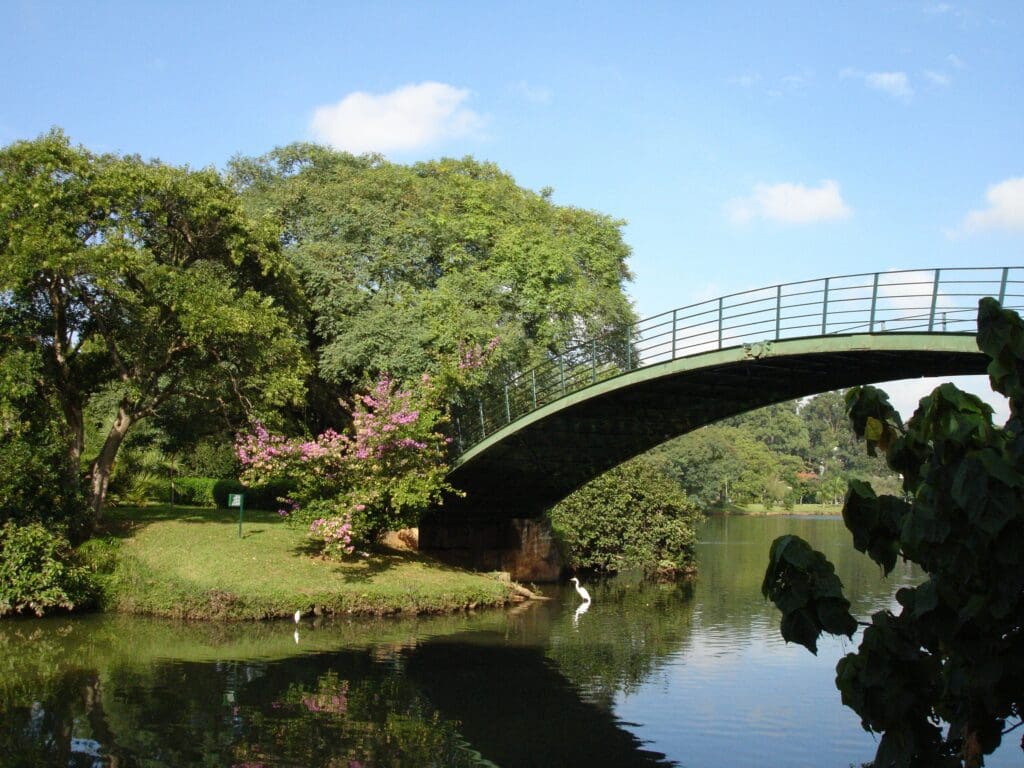 Parque Ibirapuera bridge