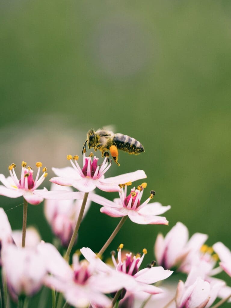 Remote work has a positive environmental impact.
