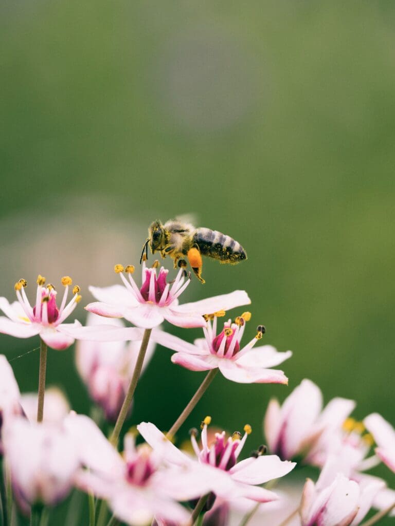 Remote work has a positive environmental impact. 