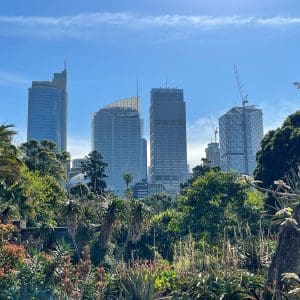 6 top parks in Sydney