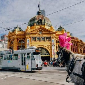 Trip to Melbourne - horse and tram