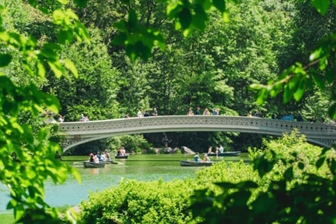 Central Park, New York City