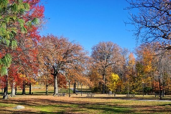 New York City top parks