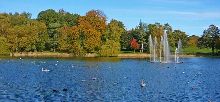 Roundhay Park.