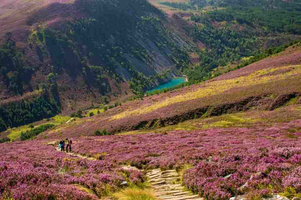 Cairngorms national park