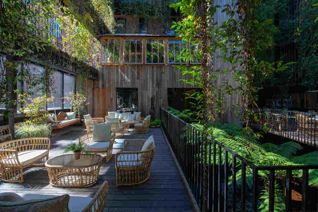 A restaurant and bar place surrounded by hanging flowers