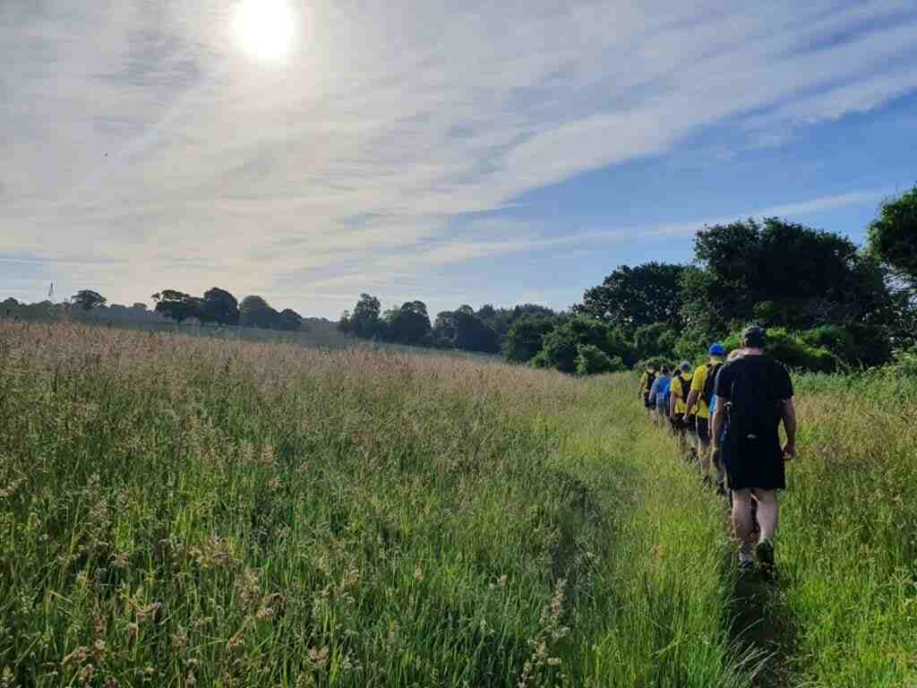 people walking in a field