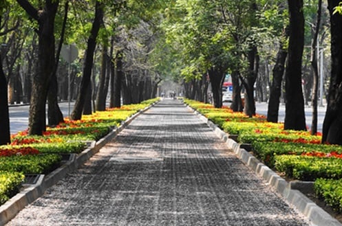 Walking park in Mexico City