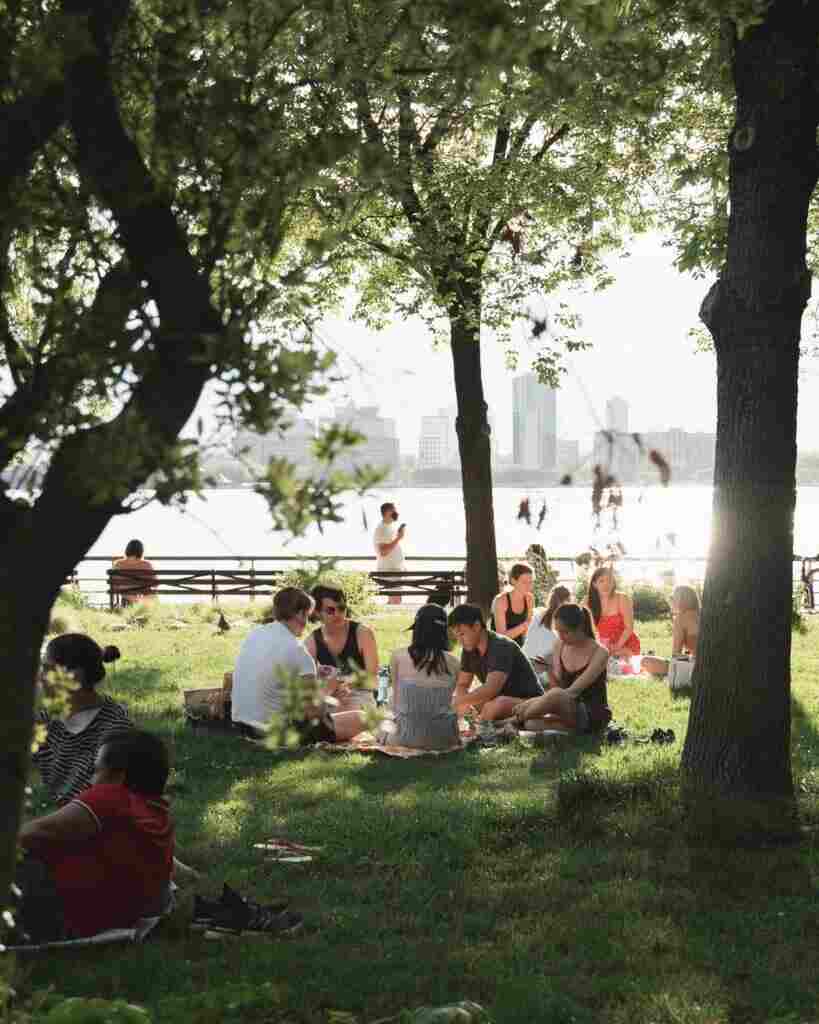 social gathering in the park