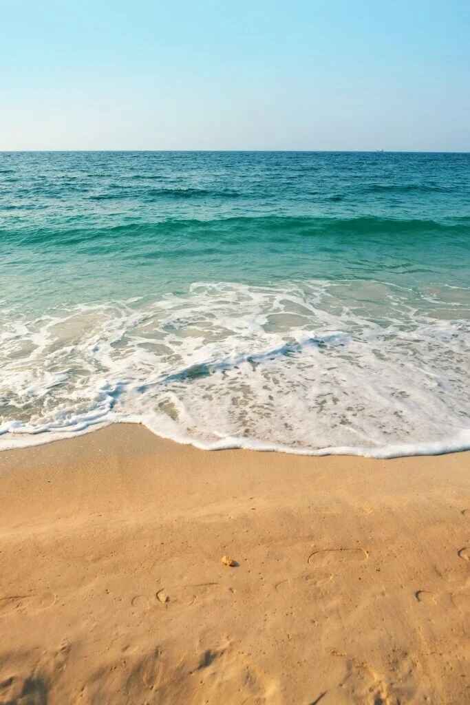 beach in south devon