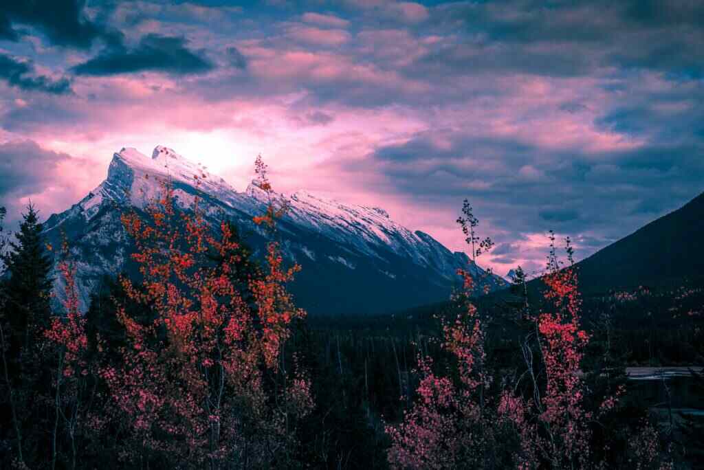Mountains and trees with spectacular sunset glow.
