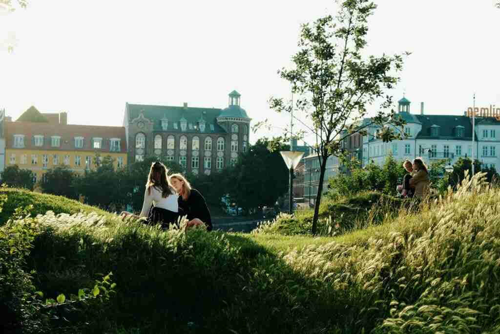 people sitting and walking in a green area and garden