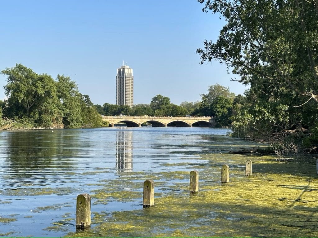 A bridge over a lake in Hyde Park in London, one of London's many green spaces
