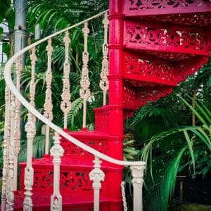 Spiral staircase surrounded by leaves