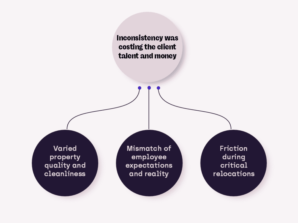 The challenges Situ's client were facing before working with Situ