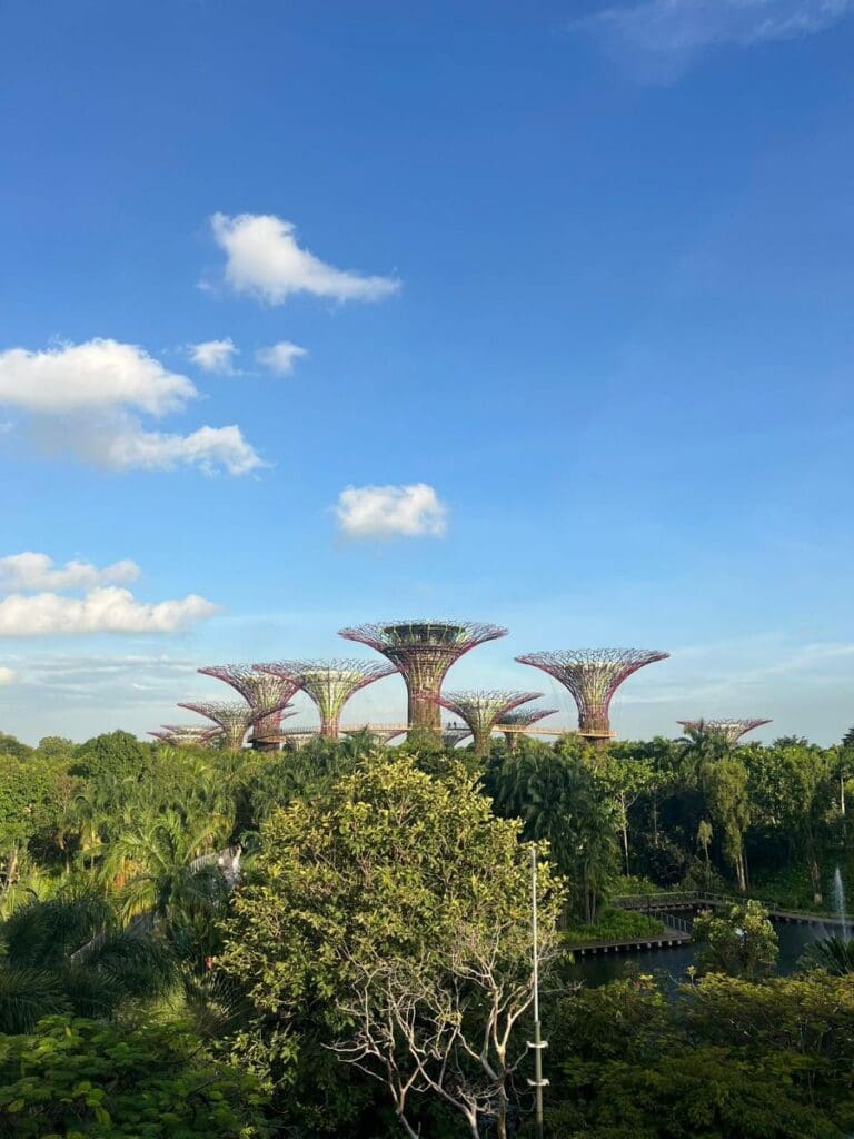 Supertrees in the Garden by the Bay in Singapore