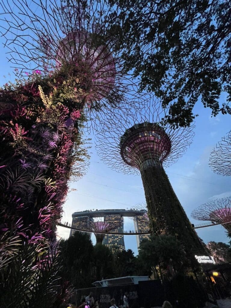 Supertrees in the Garden by the Bay in Singapore in the evening