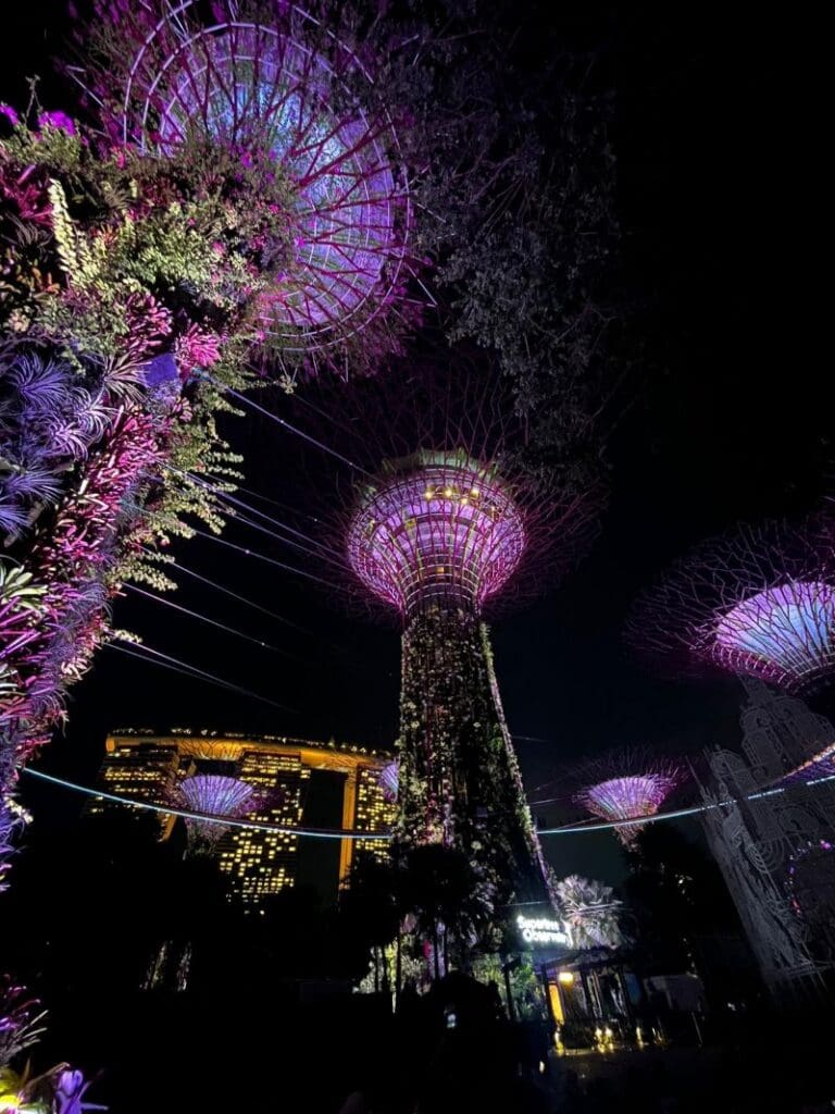 Supertrees in the Garden by the Bay in Singapore lit up at night
